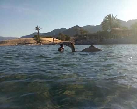 Sebaii Camp السباعى كامب شاطئ الترابين بجوار ويت بالس Hostel Nuweiba` Εξωτερικό φωτογραφία