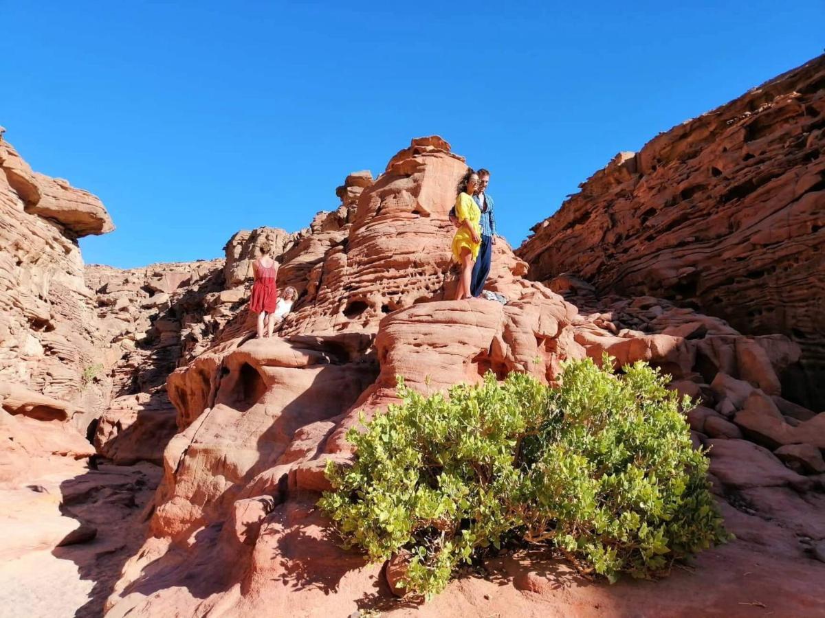 Sebaii Camp السباعى كامب شاطئ الترابين بجوار ويت بالس Hostel Nuweiba` Εξωτερικό φωτογραφία
