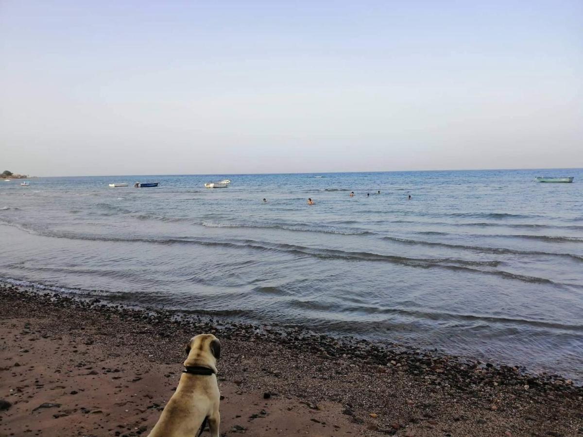 Sebaii Camp السباعى كامب شاطئ الترابين بجوار ويت بالس Hostel Nuweiba` Εξωτερικό φωτογραφία