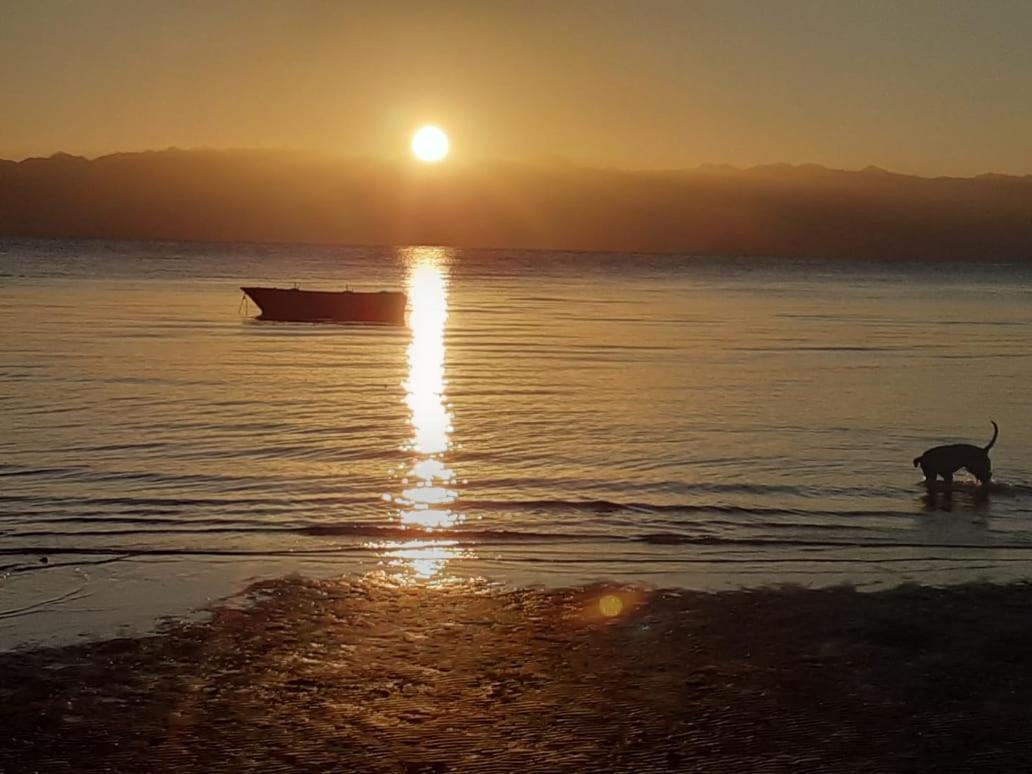 Sebaii Camp السباعى كامب شاطئ الترابين بجوار ويت بالس Hostel Nuweiba` Εξωτερικό φωτογραφία